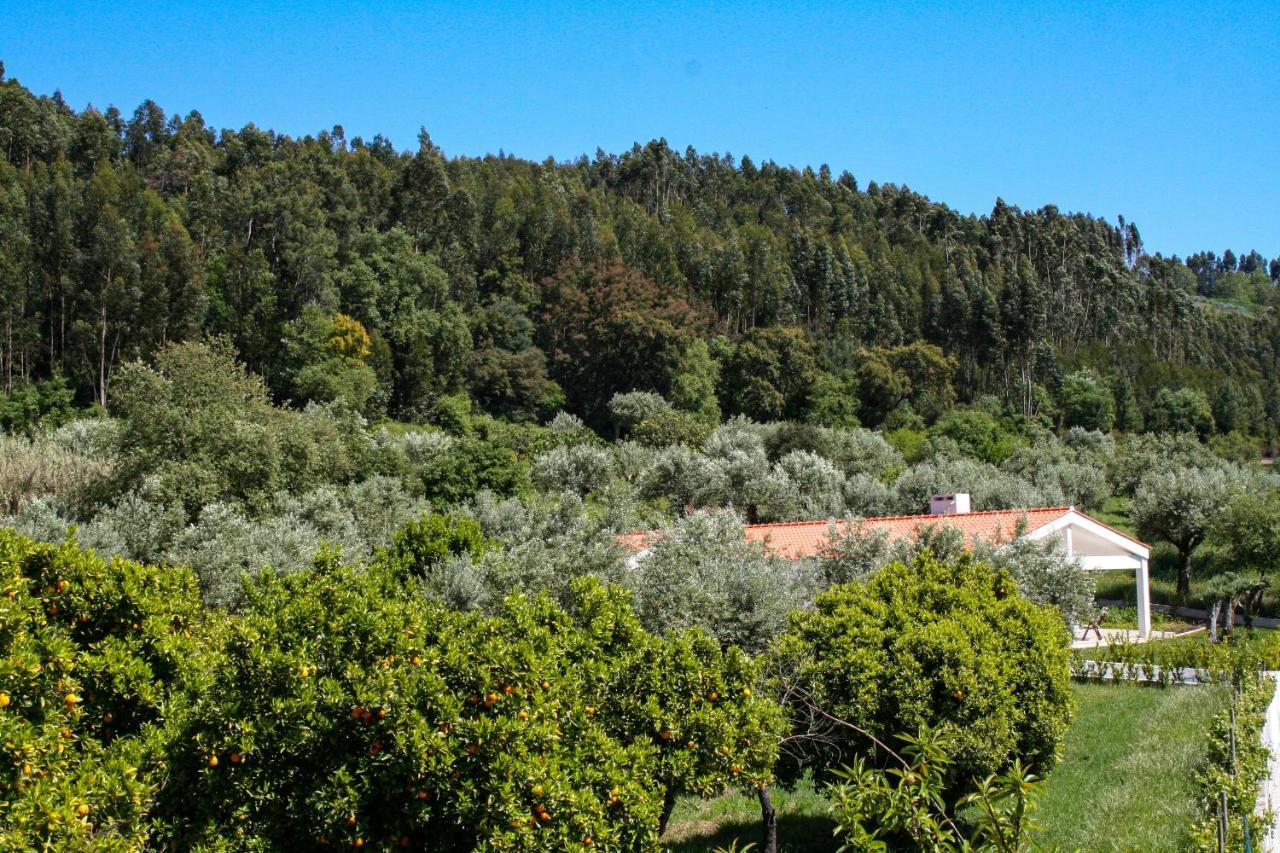 Villa Encosta Da Camarinha à Ferreira do Zêzere Extérieur photo