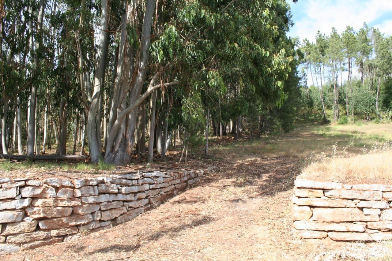 Villa Encosta Da Camarinha à Ferreira do Zêzere Extérieur photo